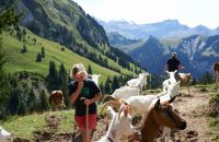 Caritas Bergeinsatz Bergbauern in Not Schweiz