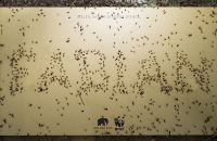 BBDO wirbt wieder mit Ameisen für den WWF und bedankt sich bei den Spendern des letzten Jahres